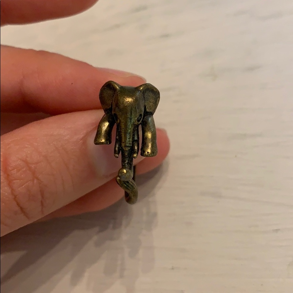 Elephant Ring - Picture 3 of 3